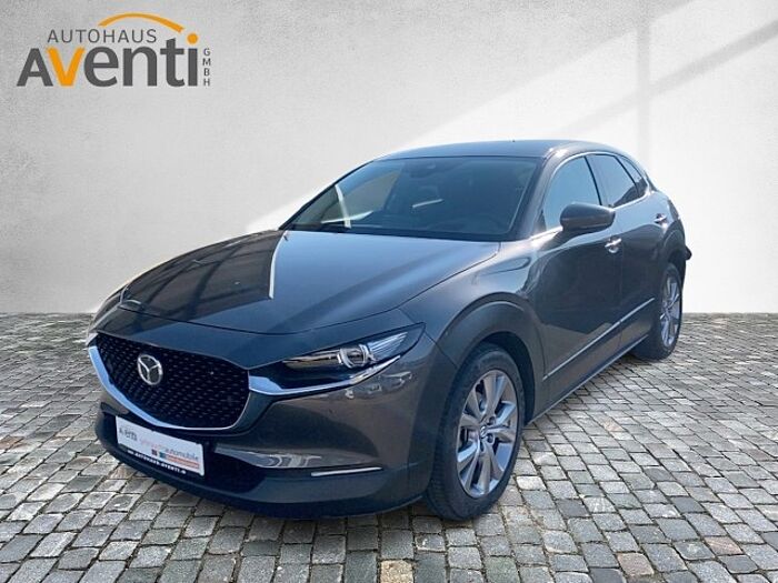 Mazda CX-30 2.0 SKYACTIV-G M Hybrid Selection*Navi*LED