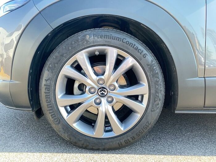 Mazda CX-30 2.0 SKYACTIV-G M Hybrid Selection*Navi*LED