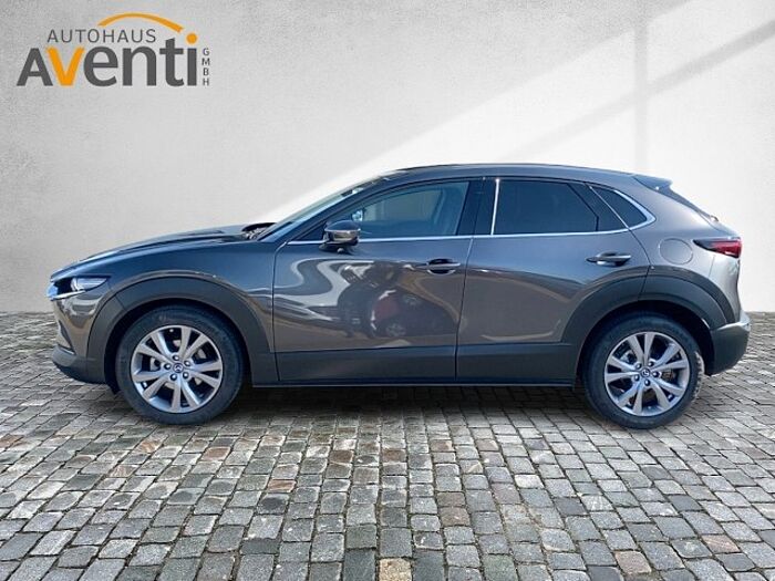 Mazda CX-30 2.0 SKYACTIV-G M Hybrid Selection*Navi*LED