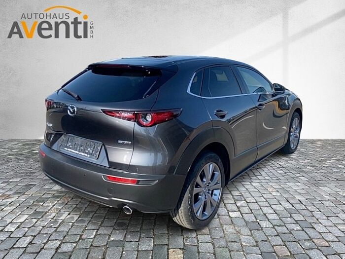 Mazda CX-30 2.0 SKYACTIV-G M Hybrid Selection*Navi*LED